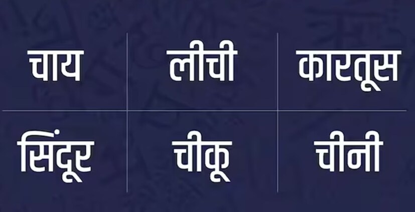 तुम्हाला विश्वास बसणार नाही पण तुम्ही हिंदी भाषेत चिनीही बोलता. म्हणजे चाय, चीकू, लीची, कारतूस, सिंदूर हे शब्द मूळचे चिनी भाषेतील आहेत. खरंतर चाय हा चीनहून भारतात यासाठीच आला कारण भारतात चहा तिथूनच आला. तिथल्या चहाची लागवड इथं होऊ लागली आणि आपण चहा उत्पादक बनलो.