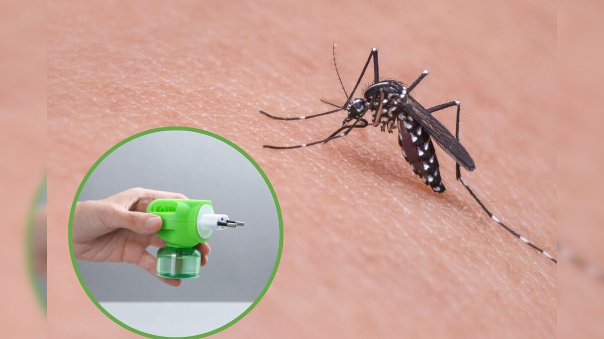 Home Tips घरीच 10 रुपयात बनवा मॉस्क्युटो रिपेलंट लिक्विड