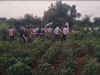 बापाने 8 दिवसांच्या चिमुरडीला तंबाखू देऊन मारलं