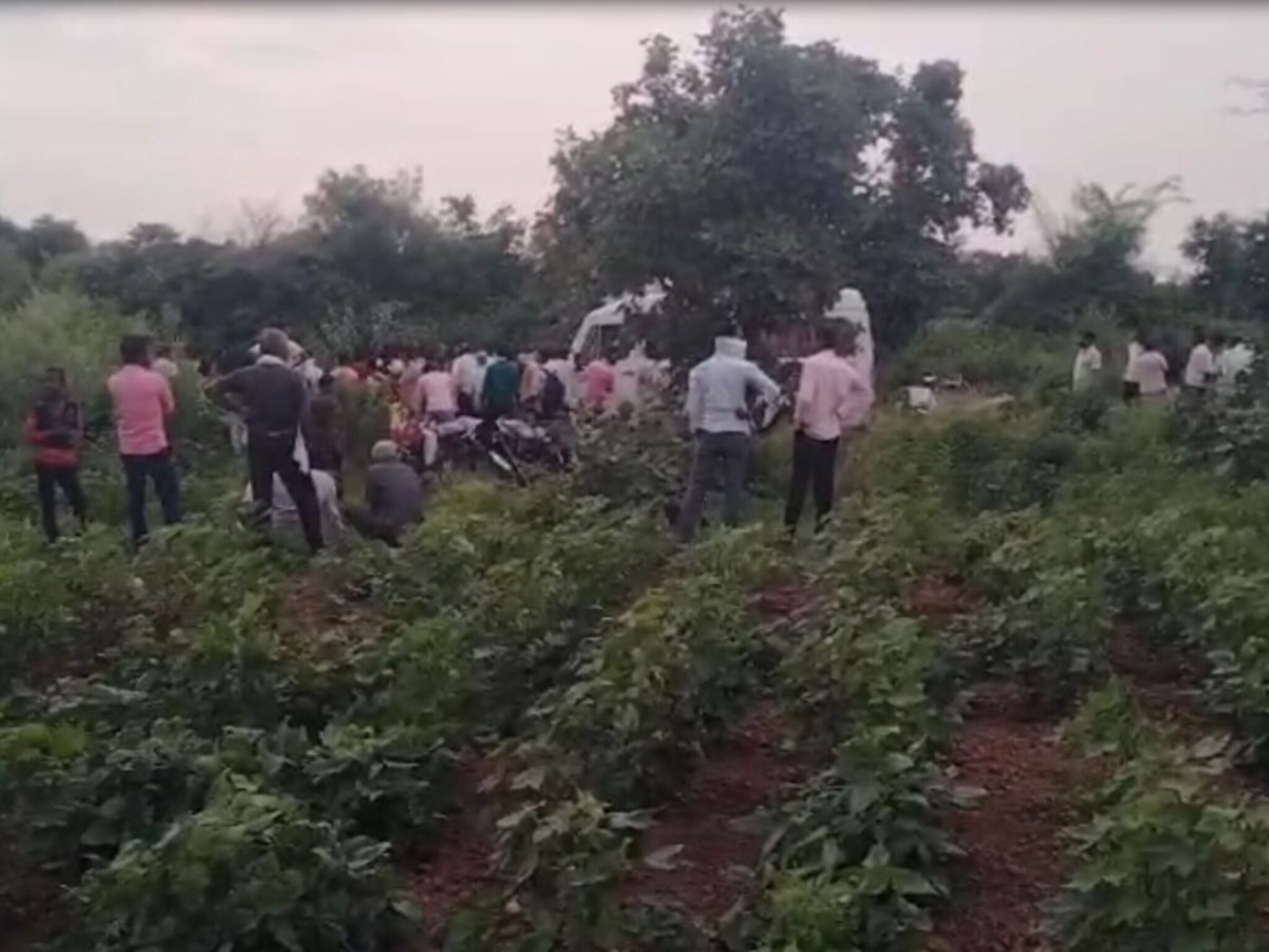 तोंडात तंबाखू देऊन 8 दिवसांच्या चिमुरडीची हत्या, बापाच्या कृत्याने जळगाव हादरलं