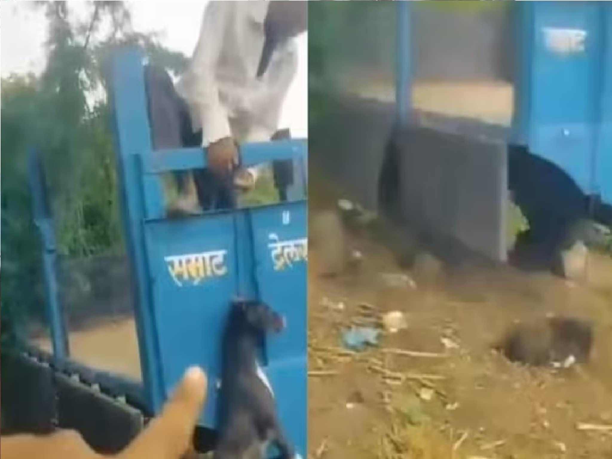 सीट फाडलं म्हणून कुत्र्याला फासावर लटकवलं, फरफटत नेऊन नाल्यात फेकलं, VIDEO
