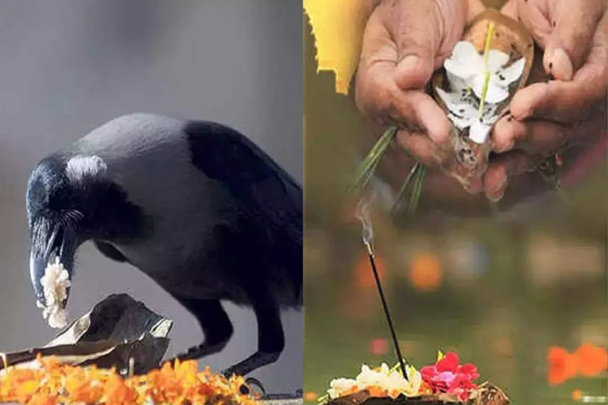 29 सप्टेंबरपासून पितृपक्ष, या 3 तिथींना करा श्राद्ध; अन्यथा पितृ होतील नाराज