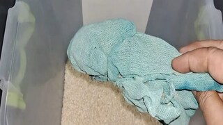 किचन जुगाड