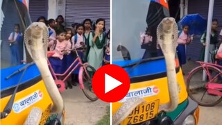  रिक्षाच्या हेडलाईमधून निघाला भलामोठा नाग