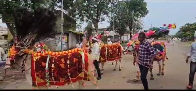 पोळ्याच्या दिवशी वर्षभर शेतात राबणाऱ्या बैलाला नांगरापासून आणि शेतीपासून आराम दिला जातो. बैलांप्रती कृतज्ञता व्यक्त करणारा हा एक मराठी सण आहे.