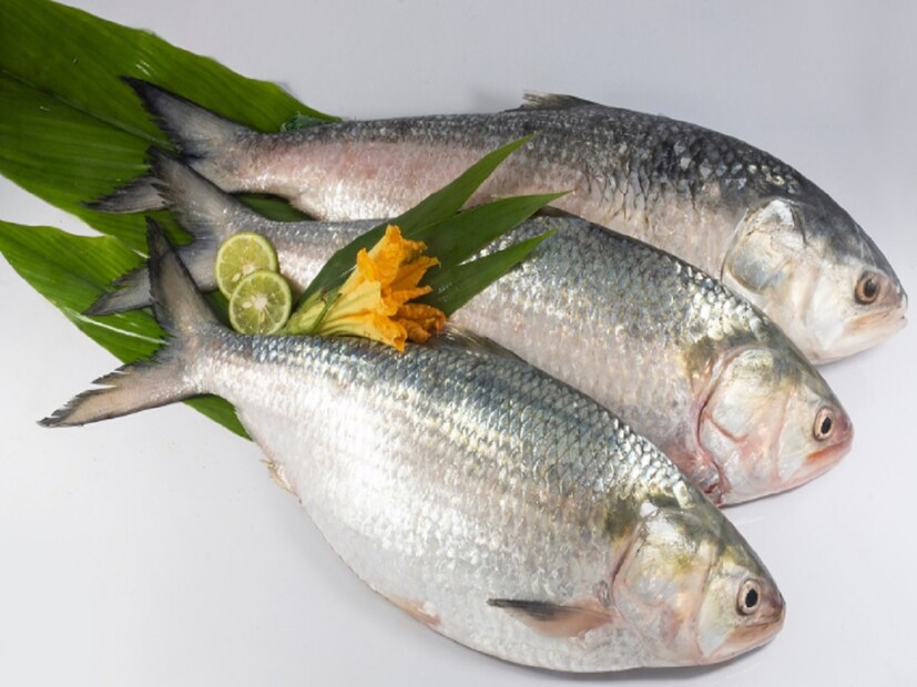 माशांची चव जितकी स्वादिष्ट असते तितकेच त्यांचे आरोग्यदायी फायदेही आहेत. म्हणूनच लोक आहारात माशांचा प्रामुख्याने समावेश असतो. बाजारातील मोठ्या मागणीचा पुरवठा करता यावा म्हणून मासेमार मासे पकडण्यासाठी विविध पद्धतींचा वापर करतात. 