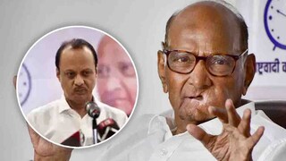 (शरद पवार यांची अकोल्यात पत्रकार परिषद)