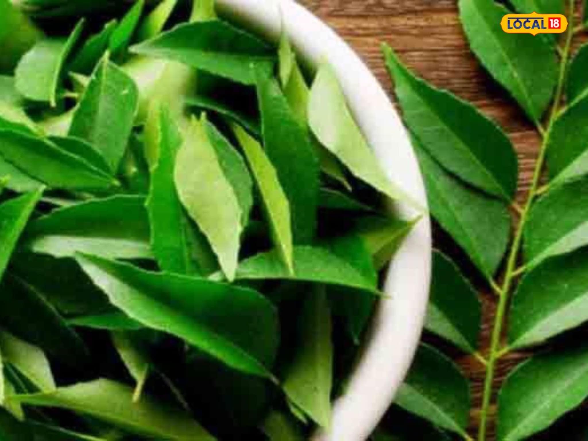 कोलेस्टेरॉल पासून होईल सुटका; कढीपत्त्याचे ‘हे’ फायदे वाचून तुम्हीही व्हाल थक्क