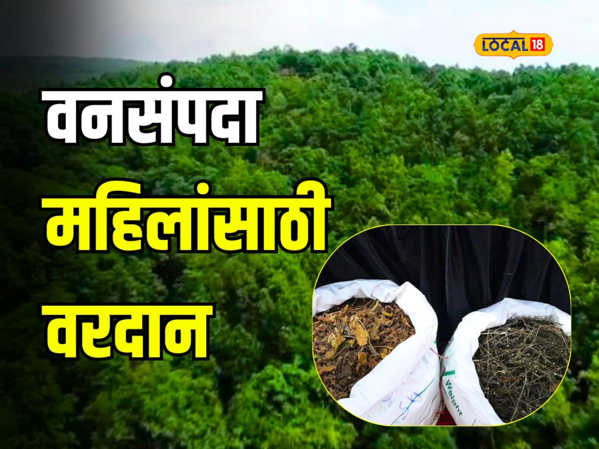 वनसंपदा ठरली महिलांसाठी वरदान; दुर्गम गावाचा पाहा कसा झाला कायापालट Video
