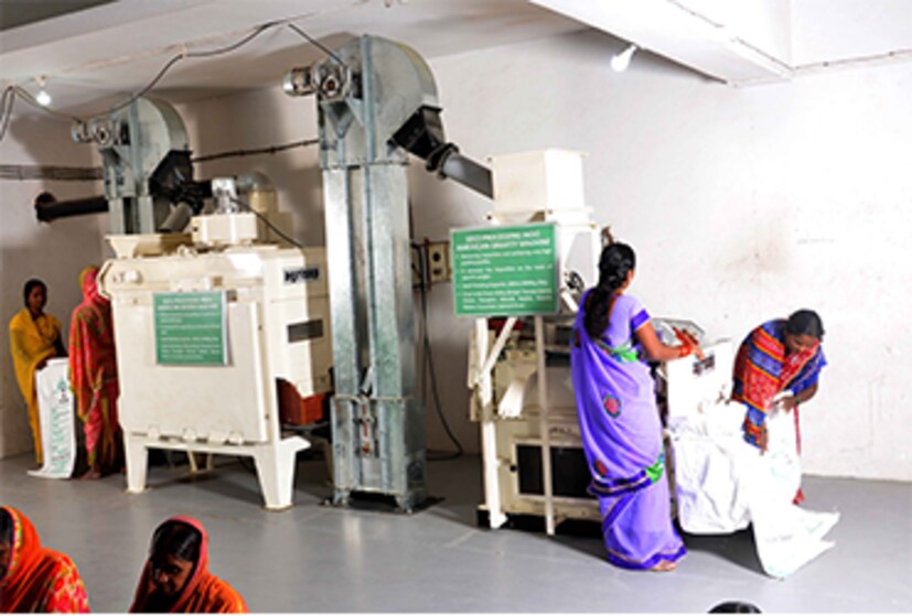 स्टील उद्योगाबरोबरच जालना शहर बियाणे उद्योगामध्ये आघाडीवर आहे. तंत्रशुद्ध बियाणे निर्मितीच्या विविध कंपन्या जालना शहरात आहेत. त्यामुळे राज्याच्या विविध भागांमध्ये बियाण्यांचा पुरवठा जालना मधूनच होतो. राज्याबरोबरच देशातील इतर भागांमध्ये देखील बियाणे जालन्यातून निर्यात केले जाते.