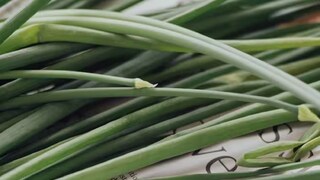 गवतीचहा शेती 