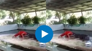  व्यक्तीने मगरीच्या जबड्यात डोकं घातलं