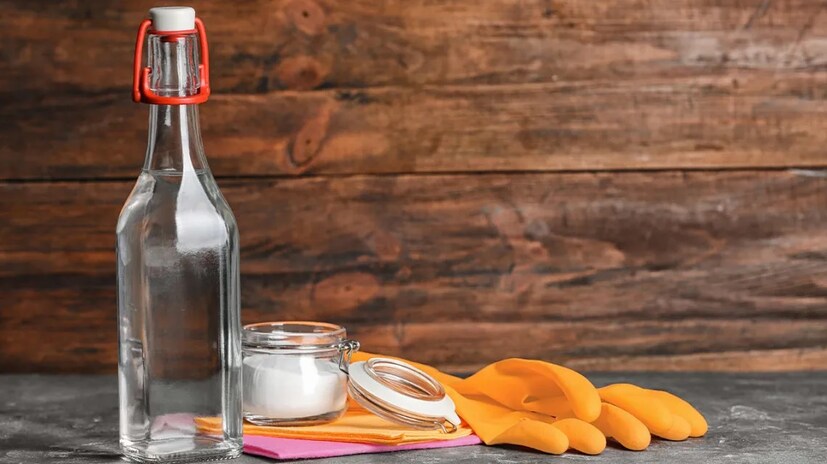 जर तुम्ही मुंग्या घालवण्यासाठी कायमस्वरूपी उपाय शोधत असाल तर व्हाईट व्हिनेगर तुमच्यासाठी उपयुक्त ठरेल. स्प्रे बाटलीमध्ये व्हिनेगर आणि पाणी समान प्रमाणात भरा. हे पाणी मुंग्यांवर शिंपडल्यास मुंग्या मारून जातात, मग मेलेल्या मुंग्यांना तुम्ही कचऱ्याच्या सुपात भरून टाकून द्या.