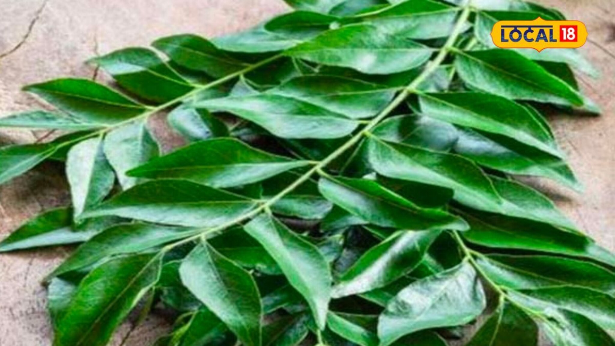 तुम्ही जेवणातून कढीपत्ता काढून टाकता का? हे वाचल्यावर परत कधी असं करणार नाही!