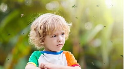 एखाद्याला जास्त डास का चावतात? एखाद्याला जास्त डास का चावतात?