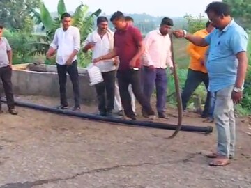 पाईपमधून आला फुस्स फुस्स आवाज, निघाला भलामोठा कोब्रा आणि.... पाईपमधून आला फुस्स फुस्स आवाज, निघाला भलामोठा कोब्रा आणि....