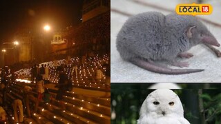 दिवाळी 2023