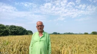 यात लागणारी मेहनत आणि वेळही इतर शेतीच्या तुलनेत कमी असते. 