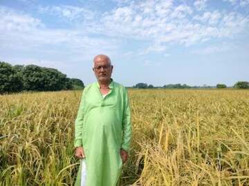यात लागणारी मेहनत आणि वेळही इतर शेतीच्या तुलनेत कमी असते.  यात लागणारी मेहनत आणि वेळही इतर शेतीच्या तुलनेत कमी असते.