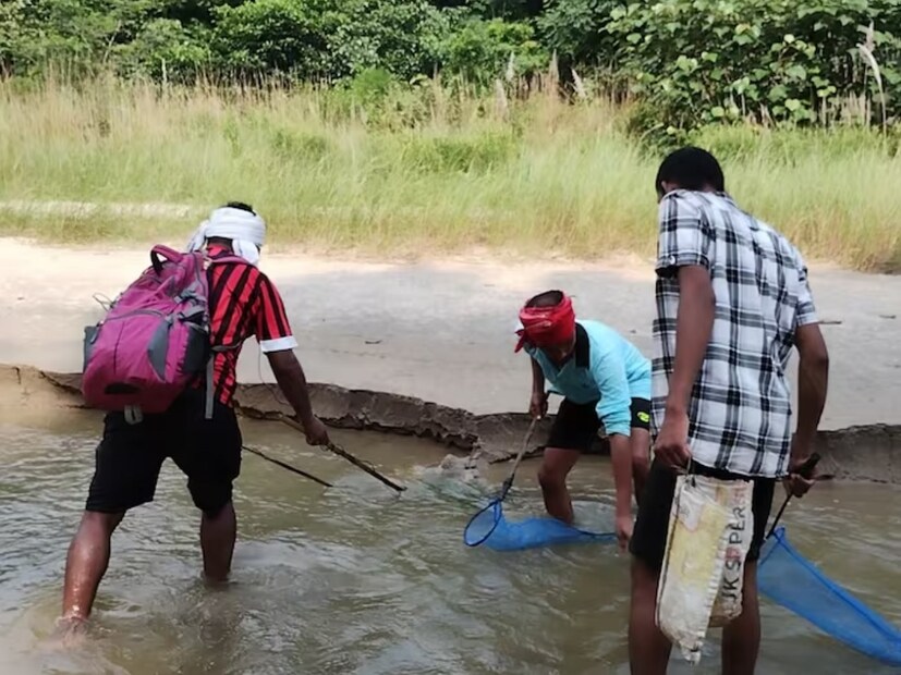 अ‍ॅल्युमिनियमचं आवरण लावलेली काठी जिथे मासे आहेत अशी शंका असते तिथे पाण्यात टाकली जाते. या काठीमुळे साधारण 1 मीटर जागेत 220 वोल्टचा झटका लागतो. या झटक्यामुळे मासे काहीसे बेशुद्धावस्थेत जातात आणि त्यांना जाळ्यात पकडणं सहज शक्य होतं. 