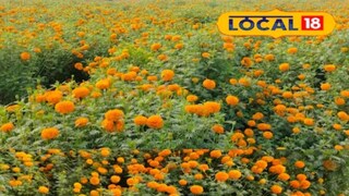 ...मात्र यासाठी ते मेहनतही तशीच घेतात. ...मात्र यासाठी ते मेहनतही तशीच घेतात.