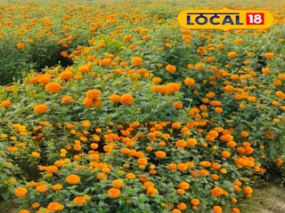 ...मात्र यासाठी ते मेहनतही तशीच घेतात.