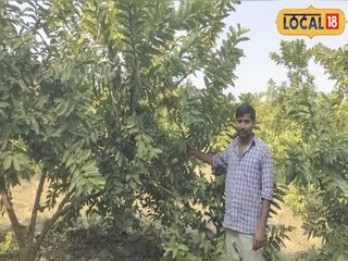 त्यांना आता या उत्पादनाचा जवळपास 15 वर्षांचा अनुभव आहे.