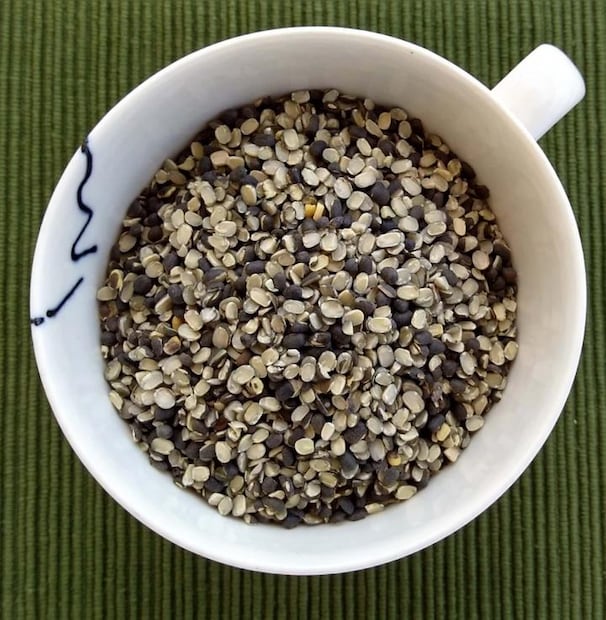  उडदाची डाळ पचायला जड असल्याने शक्यतो हिवाळ्यामध्ये या डाळीचा समावेश आपल्या आहारामध्ये जास्त प्रमाणात केला जातो. <a href="https://news18marathi.com/maharashtra/jalna/">जालना</a> येथील आहार तज्ज्ञ गीता कोल्हे यांनी उडदाच्या डाळीचे आरोग्यदायी फायदे सांगितले आहेत.