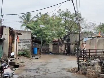 महाराष्ट्रातलं असं हे शुद्ध शाकाहारी गाव; चिकन-मटणाचं एकही नाही दुकान!
