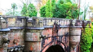 रहस्यमयी पूल, याठिकाणी जाताच कुत्रे घेतात स्वतःचा जीव रहस्यमयी पूल, याठिकाणी जाताच कुत्रे घेतात स्वतःचा जीव