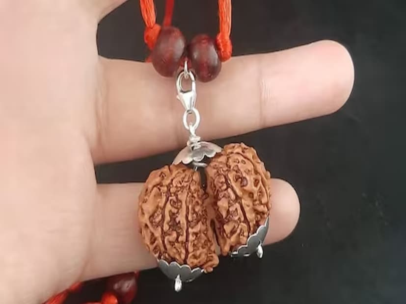 गौरी शंकर रुद्राक्ष परिधान करण्यासाठी एक विशिष्ट मंत्र आहे. ज्योतिषांनी सांगितल्यानुसार, ओम गौरीशंकराय नमः या मंत्राचा जप करत रुद्राक्ष परिधान केल्यास सर्व अडलेली कामं पूर्ण होतात. (फोटो सौजन्य : गुगल)