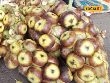 PHOTOS : वर्षातून एकदाच मिळतं हे फळ, अनेक आजारांवर आहे उपयुक्त, जाणून घ्या फायदे