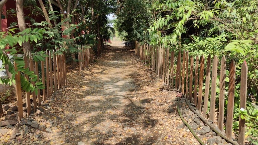 खरं तर एकेकाळी उजाड आणि ओसाड असलेला हा परिसर वनराईने नटलाय आणी बहरलाय. इथलं तापमान बाकीच्या तापमानापेक्षा दोन अंशांनी कमी असल्याचे बाळासाहेब पाटील सांगतात. बाळासाहेब पाटील यांच्याकडे 110 गाई आहेत. ज्या माध्यमातून दुधातून अर्थार्जन तर होतेच परंतु सेंद्रिय शेतीसाठी मदत होतेय.