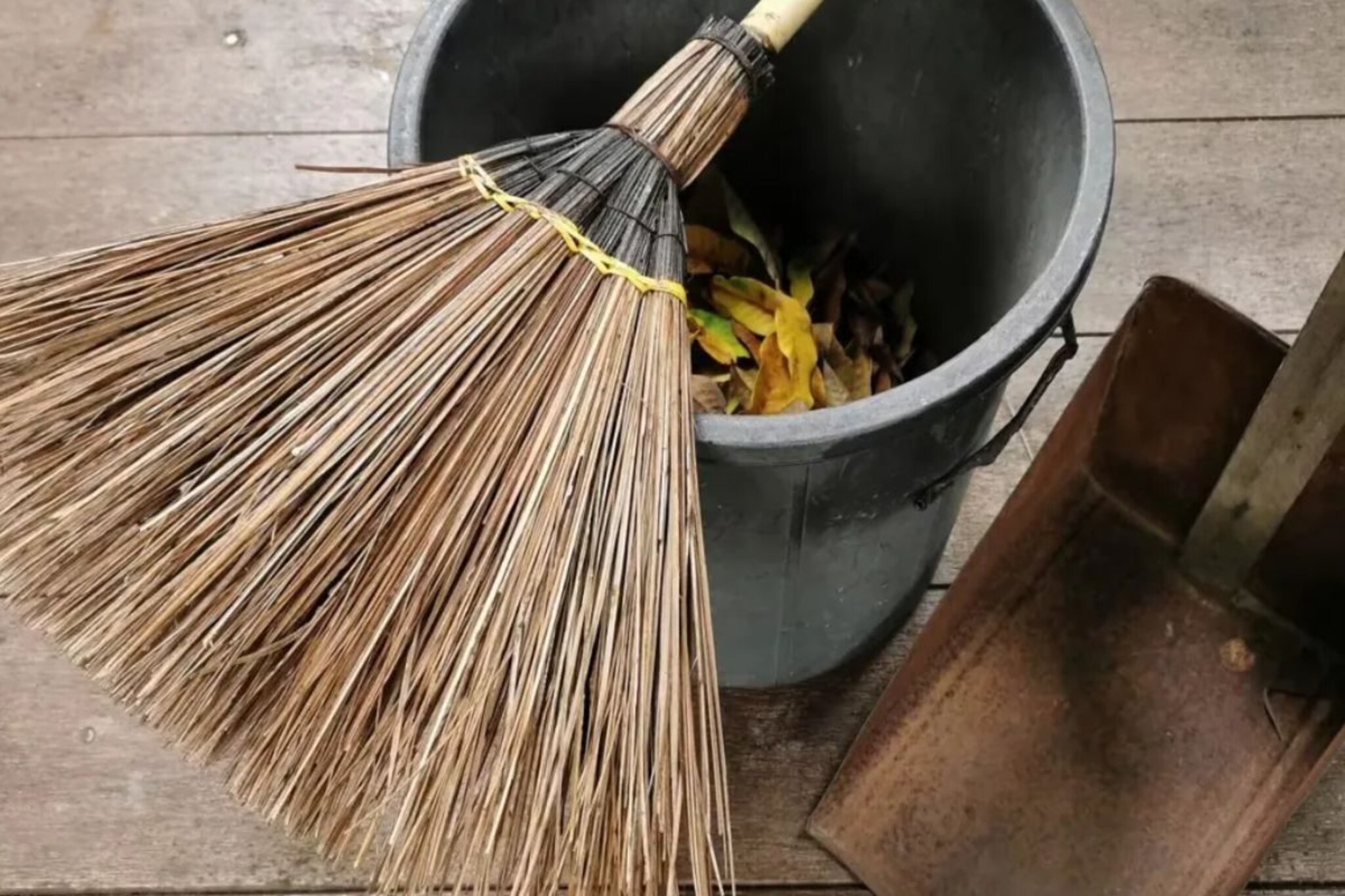 Vastu: घरासमोर अशा गोष्टी बिलकूल असू नयेत; दारिद्र्य वाढतं, नाही मिळत सुख-शांती