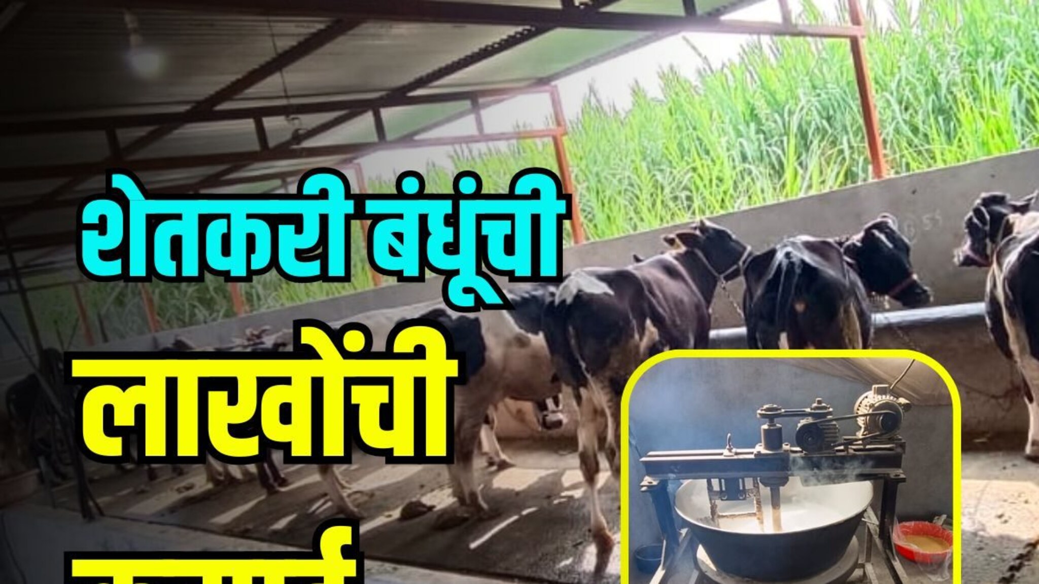 दोन शेतकरी भावांचा कमाल, एकत्र केलं काम, महिन्याला सव्वा लाखांची कमाई