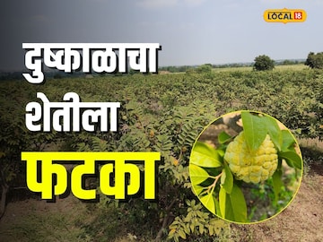 News18