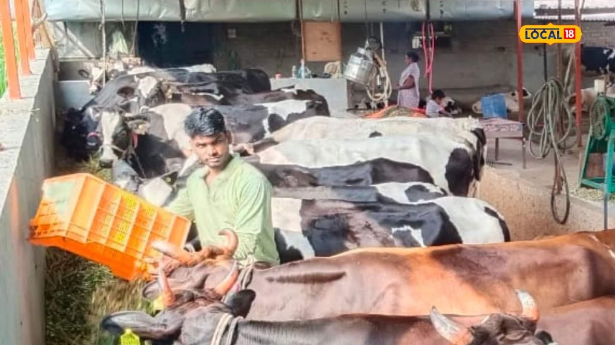 दुग्ध आणि कुक्कुटपालन व्यवसायातून भावांची लाखोंची कमाई; कसं केलं नियोजन? PHOTOS