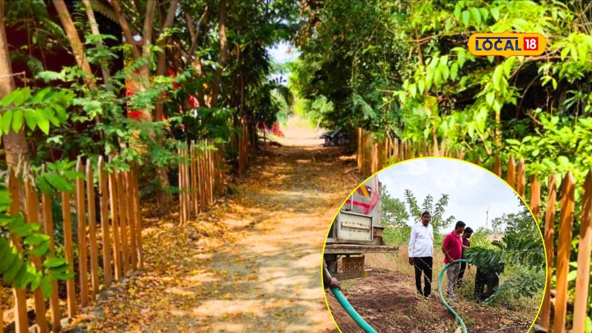 निसर्गप्रेमीनं फुलवलं नंदनवन! 300 एकर उजाड आणि ओसाड असलेला परिसर नटवला वनराईने, पाहा Video