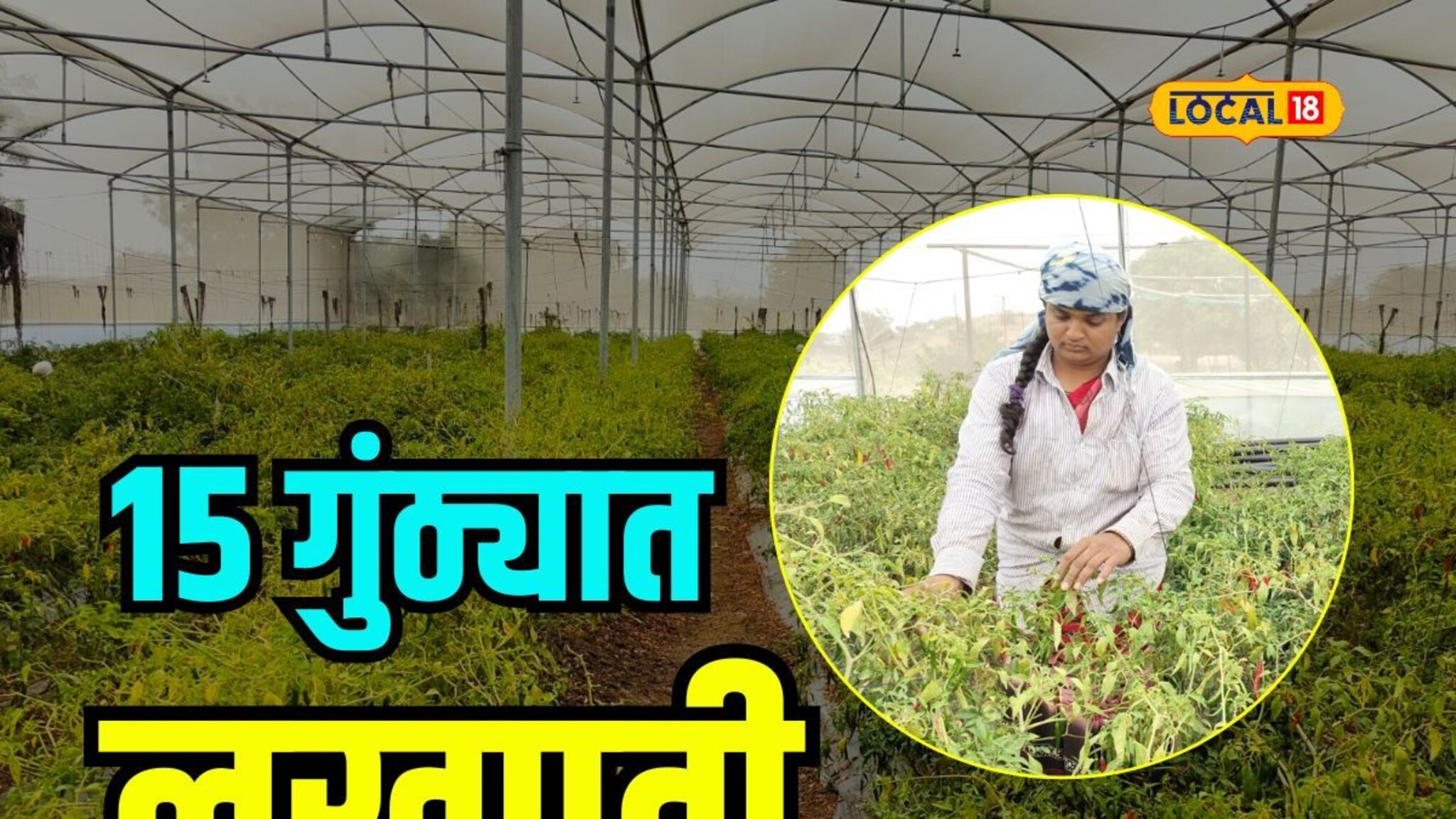 पतीचं निधन झालं, सासूने दिली साथ, शेतकऱ्याच्या सूनेनं तुकड्याभर जमिनीतून 1 लाख कमावले