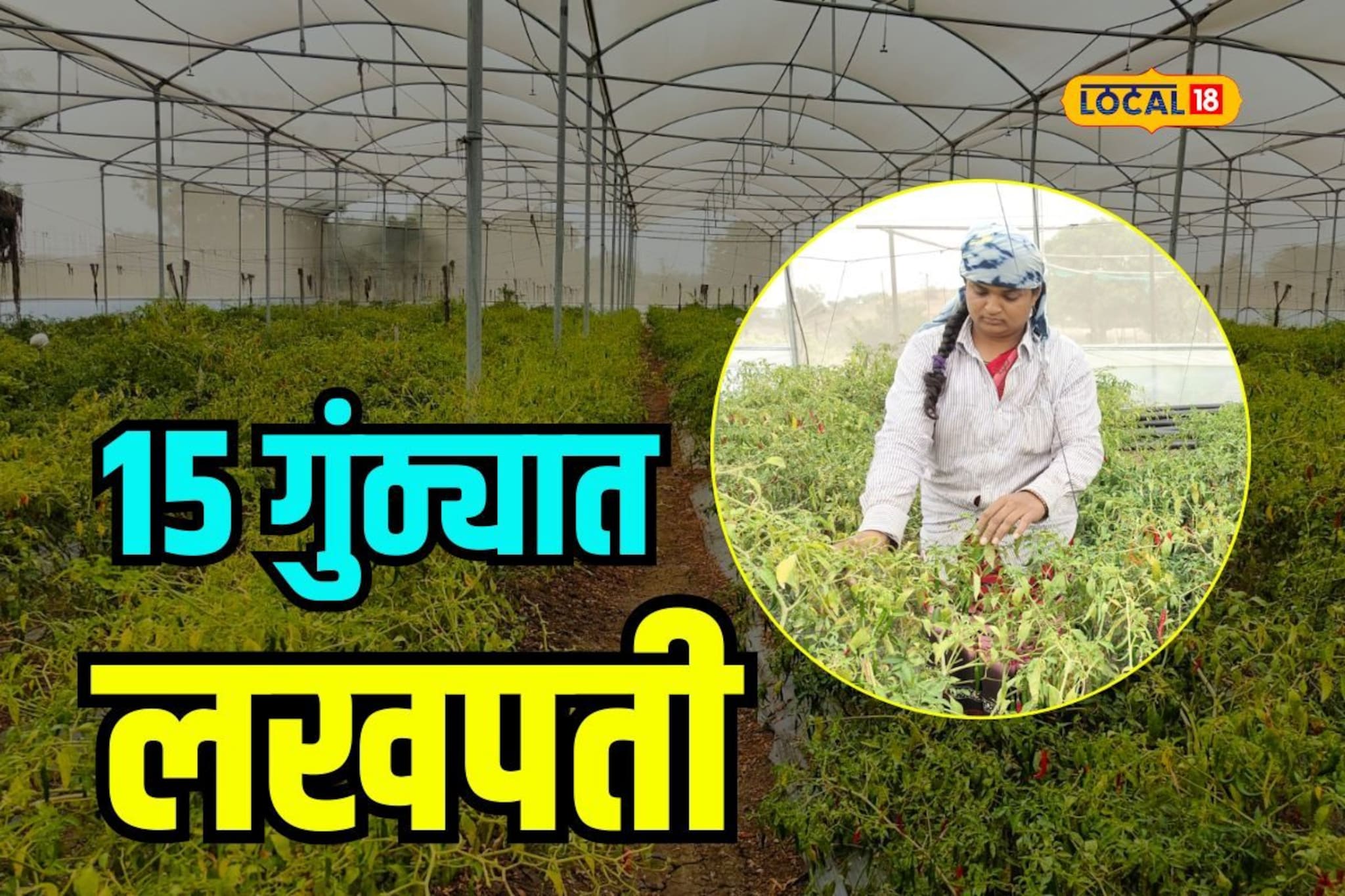 पतीचं निधन झालं, सासूने दिली साथ, शेतकऱ्याच्या सूनेनं तुकड्याभर जमिनीतून 1 लाख कमावले