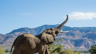 प्रतिकात्मक फोटो