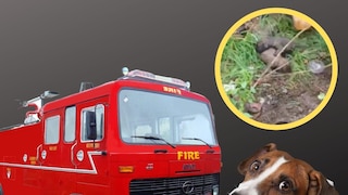 प्रतिकात्मक फोटो प्रतिकात्मक फोटो