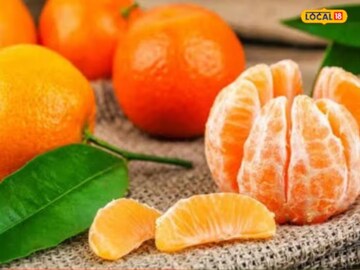 हिवाळ्यात खा ही 6 फळं; सर्दी-खोकल्यापासून राहाल दूर, रोगप्रतिकारशक्तीही वाढेल हिवाळ्यात खा ही 6 फळं; सर्दी-खोकल्यापासून राहाल दूर, रोगप्रतिकारशक्तीही वाढेल