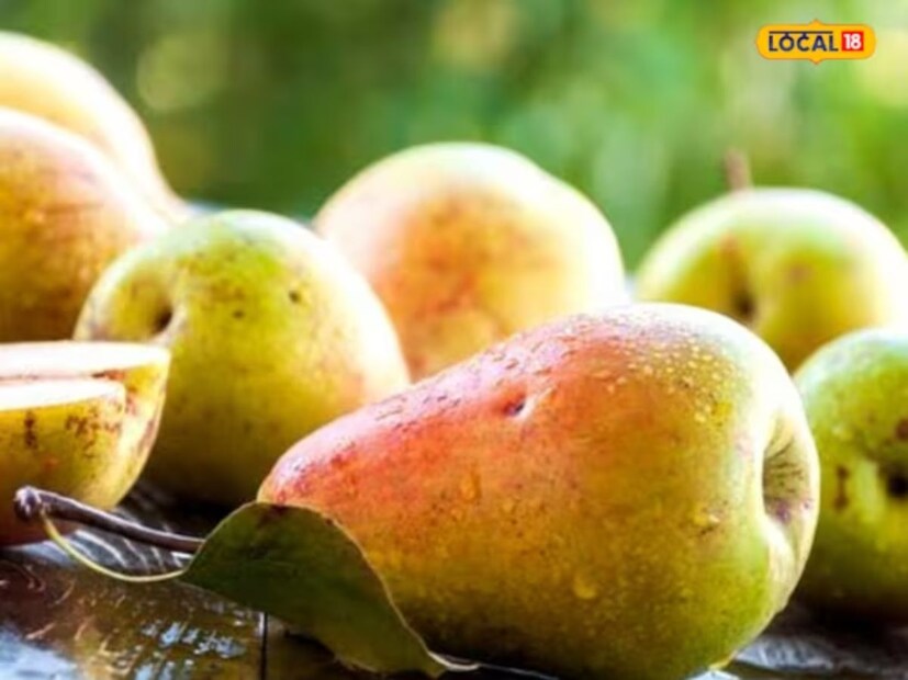 डायबिटीजच्या रुग्णांसाठी नाशपती खूप फायदेशीर आहे. या फळामध्ये फायबर मुबलक प्रमाणात असतं. यामुळेच पोट जास्त काळ भरलेलं राहतं. त्यात कॅलरीजचे प्रमाणही कमी असते. त्यामुळे वजन कमी करण्यासाठीही हे फळ खूप फायदेशीर आहे. वजन कमी करण्यासाठी हे फळ उपयुक्त आहे.