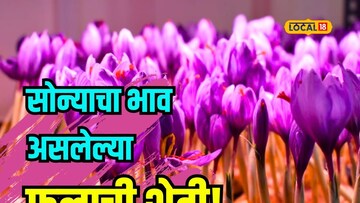 कॅन्सरनं