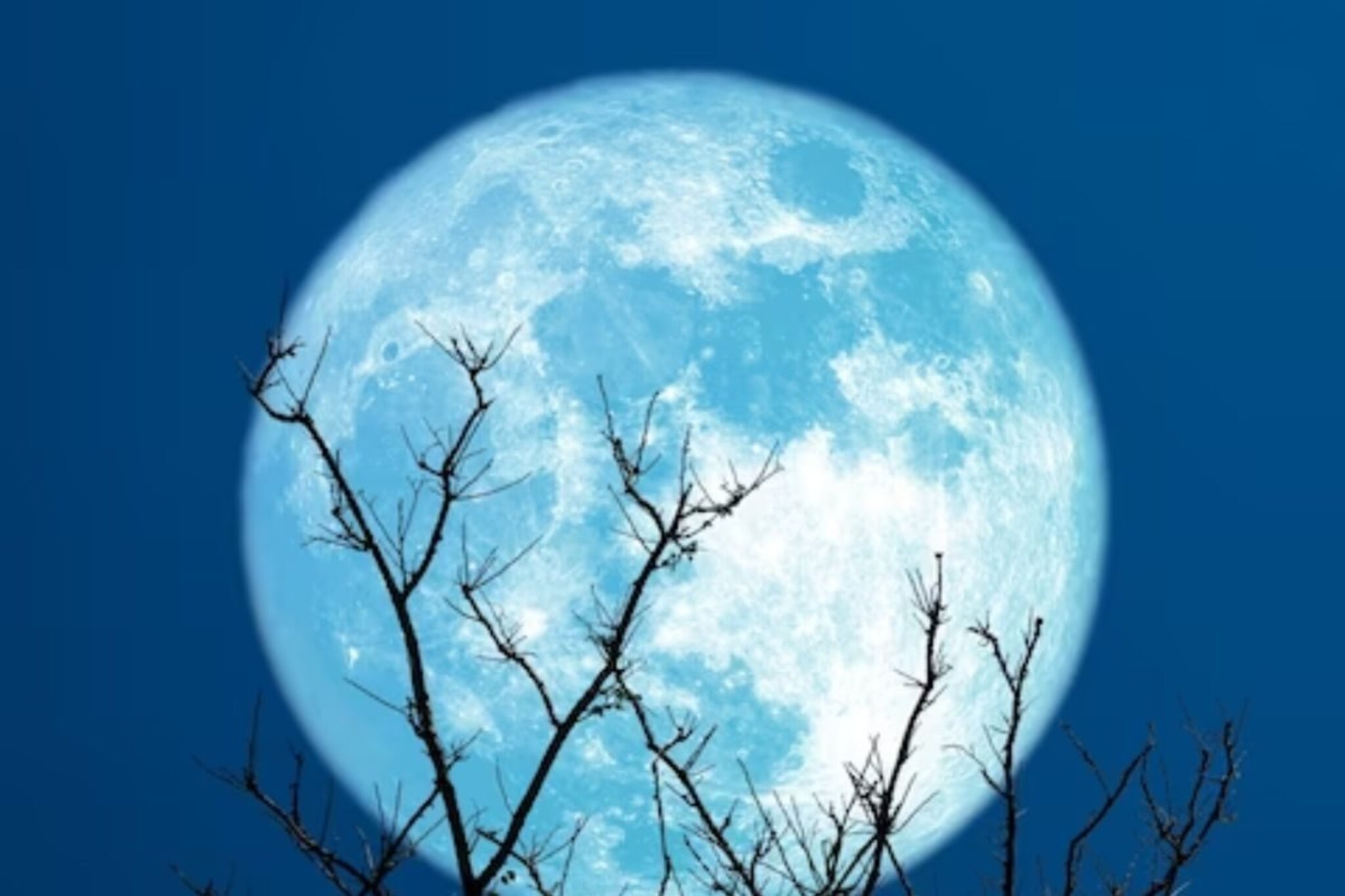 चंद्रावरील मातीत लावलेल्या झाडांचं काय झालं? तिथे शेती करता येईल का?