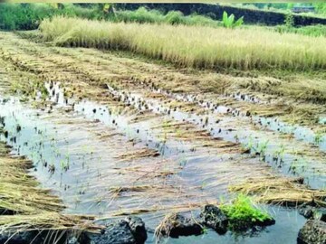 नुकसानग्रस्त भागातील अंदाजपत्रक