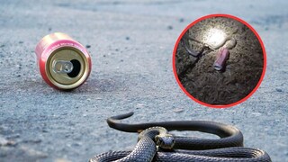 प्रतिकात्मक फोटो