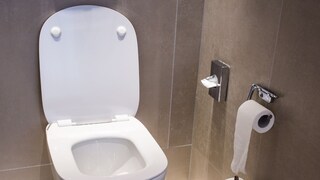 चक्क टॉयलेटच चोरून नेलं