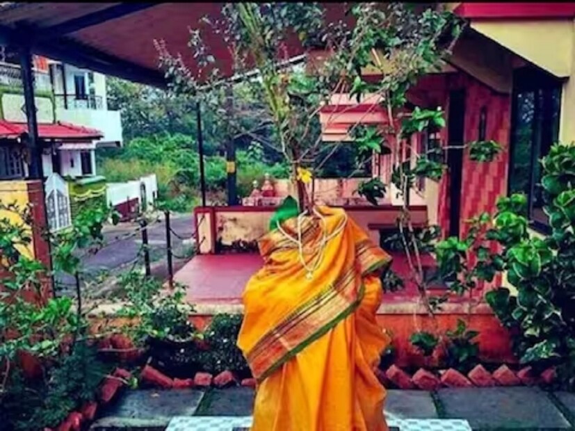 हिंदू धर्मात तुळशीला खूप महत्त्व दिलं गेलं आहे. धर्मशास्त्रानुसार, तुळशीच्या रोपाजवळ भगवान श्री विष्णू आणि लक्ष्मीमातेचा वास असतो. भगवान विष्णूला तुळस विशेष प्रिय आहे. त्यामुळे विष्णू-लक्ष्मीच्या पूजेत तुळशीला विशेष महत्त्व आहे.